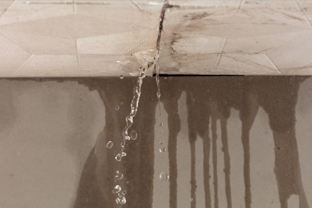 Professional Flood Damage Cleanup technician working in Linden, IA
